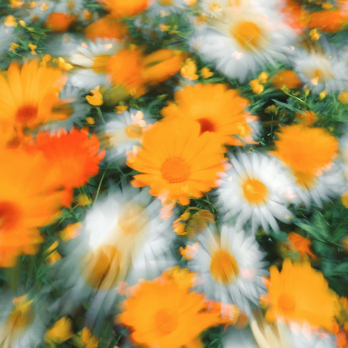 Fresh Orange: Natural Bath Bomb to Energize and Uplift the Senses